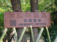 -菊园百果园