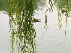 景点-北京动物园