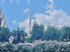 -广州富力丽思卡尔顿酒店