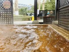 -春晖园度假酒店温泉