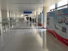 -首都医科大学附属北京天坛医院