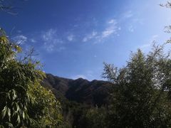 -王顺山国家森林公园