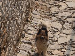 -于家石头村景区