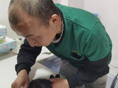 -守诺宠物医院·眼科· 特色牙科·异宠专科(虹口店)