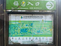 -上海海湾国家森林公园