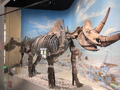 -国家自然博物馆