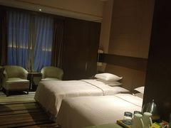 -扬州绿地铂骊酒店