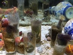 -苏州海洋馆