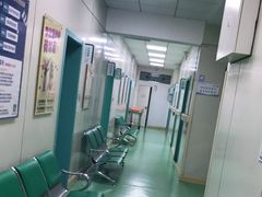 -北京观赏动物医院·24小时大型综合·猫专科·异宠专科