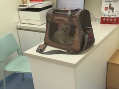 -全心全意动物诊疗中心医院(北苑店)