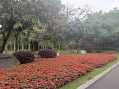 -南宁南湖公园