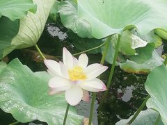 -郭守敬纪念馆