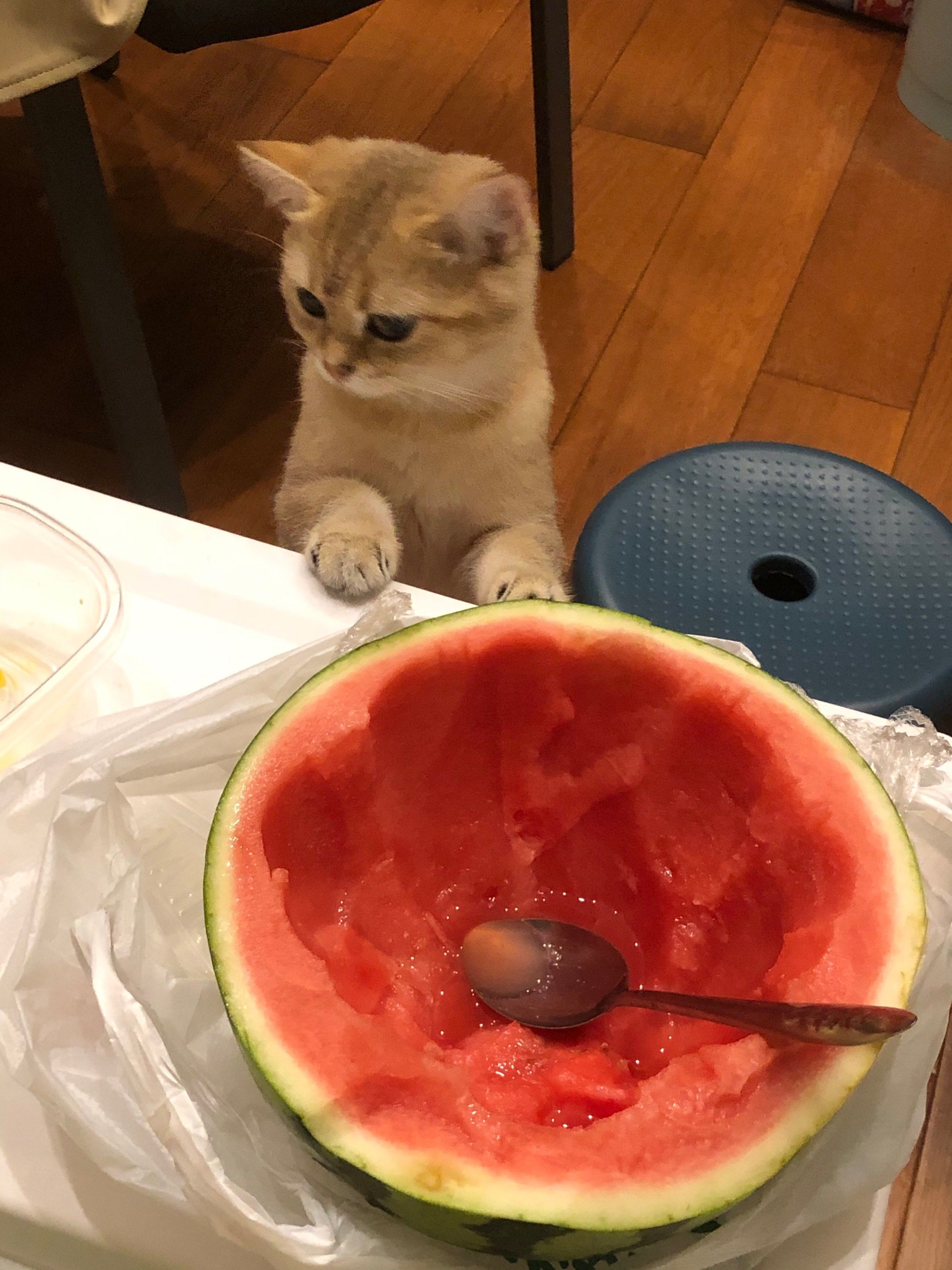 不给她吃西瓜就这个表情