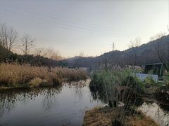 -西湖风景区-江洋畈生态公园