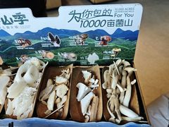 -芸山季·云南野生菌火锅(南翔印象城MEGA店)