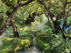 -Chom Cafe and Restaurant