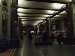 -美国自然历史博物馆