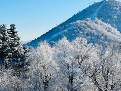 -亚布力新体委滑雪场