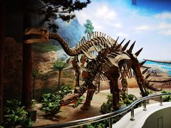 -延庆地质公园博物馆