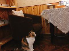 -隅cafe(傅厚岗店)