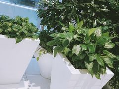 -远洋未来广场(育慧北路店)