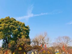 -无锡梅园公园