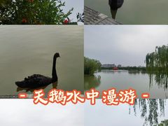 -洛阳市隋唐城遗址植物园