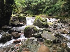 -西岭雪山大飞水景区