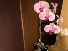 -深圳湾木棉花酒店