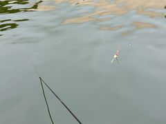 -DGE季风钓虾营地·团建·聚会