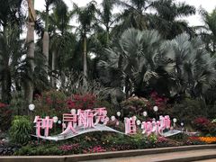 -莲花山公园