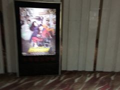 -武汉华夏国际影城(鲁广店)