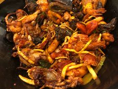 -食乐佳麻辣香锅(森林摩尔商业街区店)