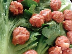 猪肉丸-新合益乡村农庄