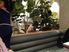 -卡朋西餐(较场西路店)