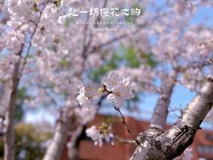 -智慧湾科创园