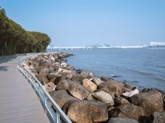 -上海吴淞炮台湾国家湿地公园