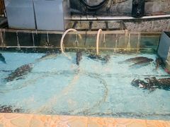 -鱼窝棚柴火铁锅炖(富山屯店)