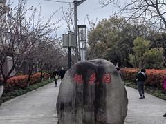 -高东镇樱花园