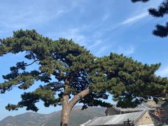 -妙峰山风景名胜区