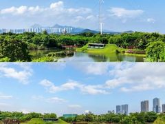 -福田红树林生态公园