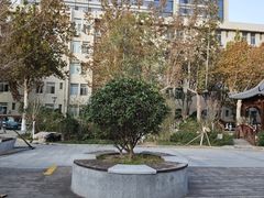 -山东省千佛山医院