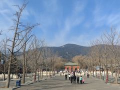 -晋祠公园