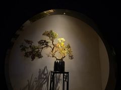 -江南足纪·影院足道·轻奢SPA(笋岗HALO广场店)