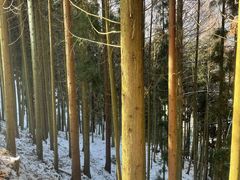 -太阳湾风景区