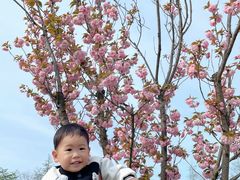 -杭州湾海上花田景区