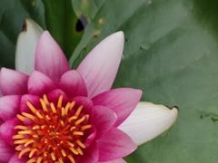 -天津东丽湖风景区