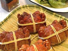 -蟹天蟹地农家菜·阳澄湖大闸蟹(浅水湾店)