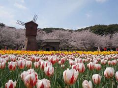 -北京上方山国家森林公园
