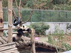 -黔灵山公园